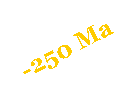 Zone de Texte: -250 Ma